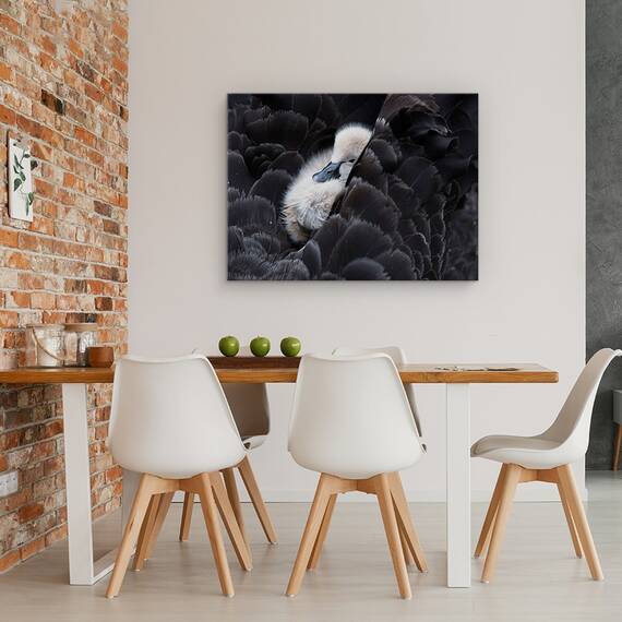 Tablou Canvas - Pickaback, Marime: 60 x 80 cm - 4- Roveli