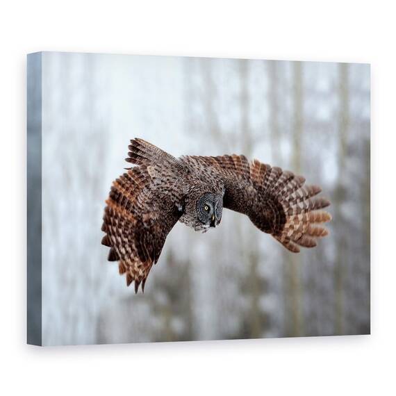 Tablou Canvas - Planare, Marime: 60 x 80 cm - - Roveli