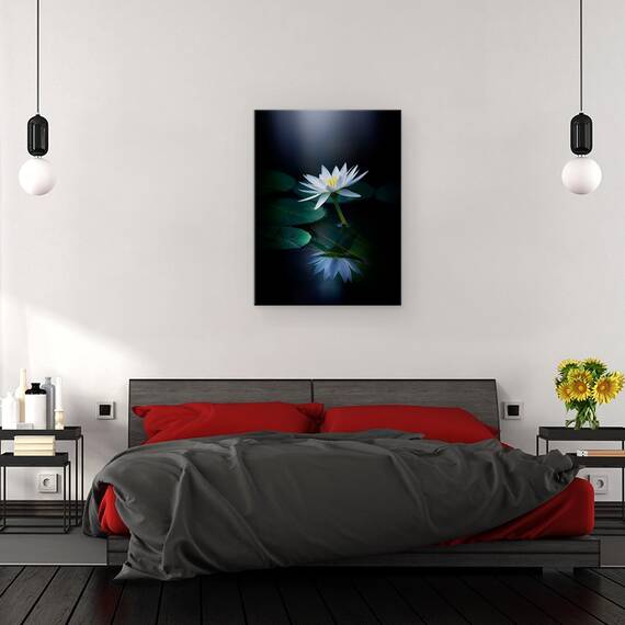 Tablou Canvas - Reflectie, Marime: 50 x 70 cm - 3- Roveli