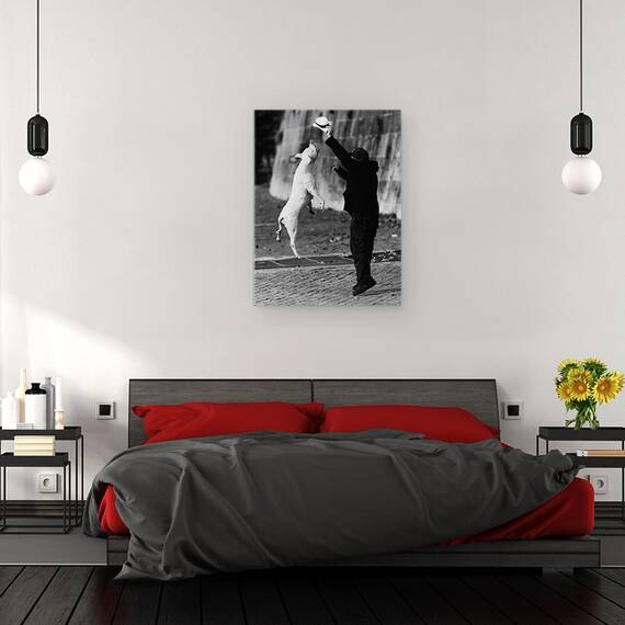 Tablou Canvas - Sarind Cu Prietenul Meu, Marime: 60 x 80 cm - 3- Roveli
