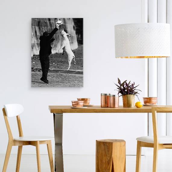 Tablou Canvas - Sarind Cu Prietenul Meu, Marime: 60 x 80 cm - 4- Roveli