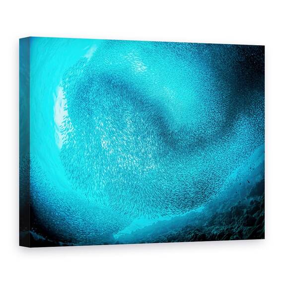 Tablou Canvas - Scolarizare Sardine, Marime: 60 x 80 cm - - Roveli
