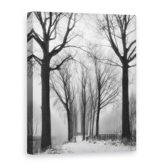Tablou Canvas - Si Apoi Vine Iarna, Marime: 60 x 80 cm - - Roveli