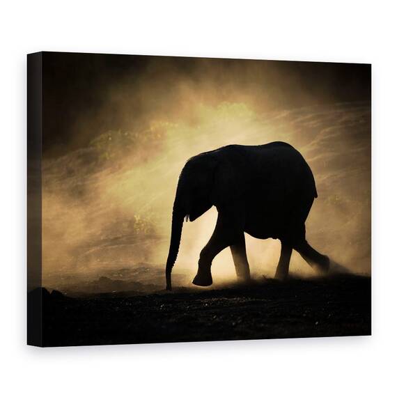 Tablou Canvas - Silueta, Marime: 50 x 70 cm - - Roveli