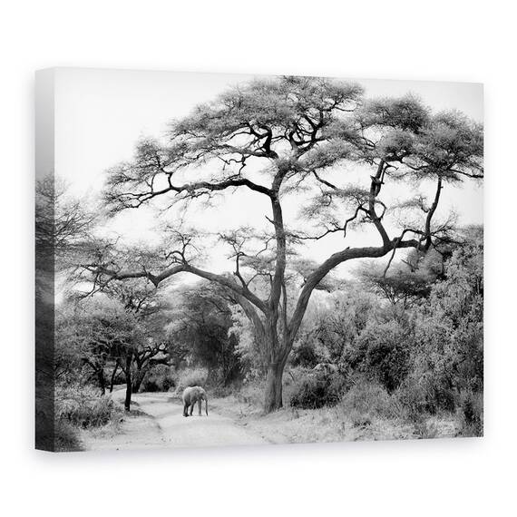 Tablou Canvas - Sub Salcam, Marime: 50 x 70 cm - - Roveli