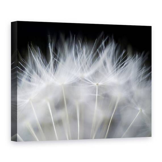Tablou Canvas - Sufla, Marime: 60 x 80 cm - - Roveli