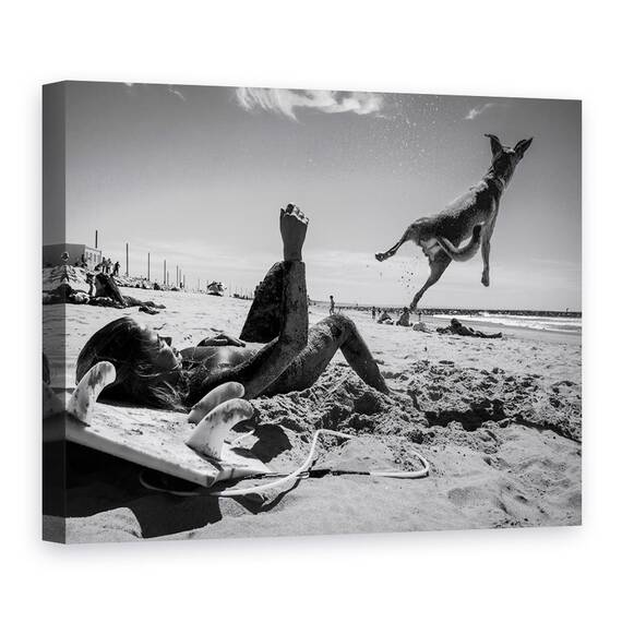Tablou Canvas - Super Caine, Marime: 50 x 70 cm - - Roveli