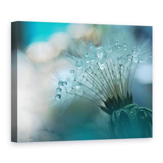 Tablou Canvas - Aproape, Marime: 50 x 70 cm - - Roveli
