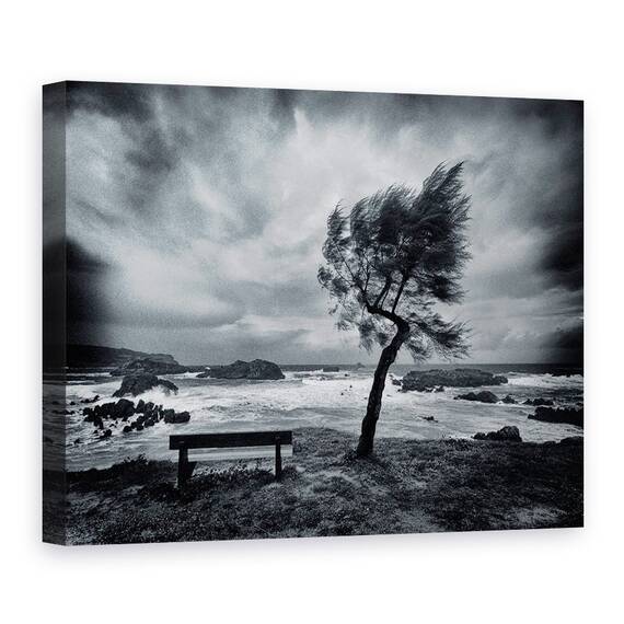 Tablou Canvas - Astazi Nimeni, Marime: 50 x 70 cm - - Roveli