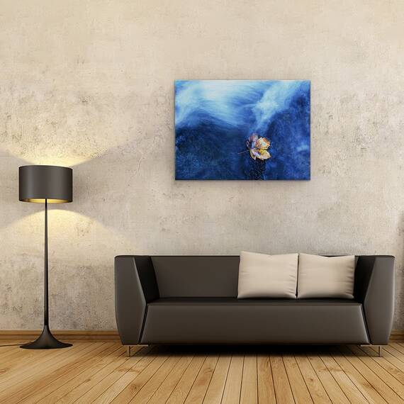 Tablou Canvas - Aterizarea, Marime: 50 x 70 cm - 2- Roveli