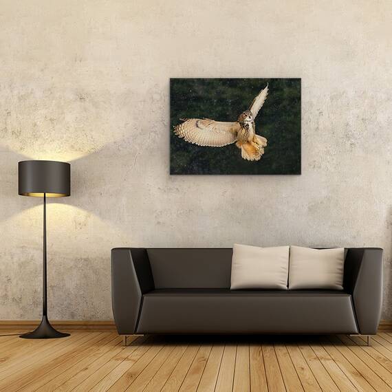 Tablou Canvas - Bufnita, Marime: 50 x 70 cm - 2- Roveli