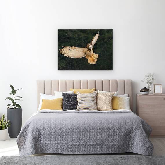 Tablou Canvas - Bufnita, Marime: 50 x 70 cm - 3- Roveli