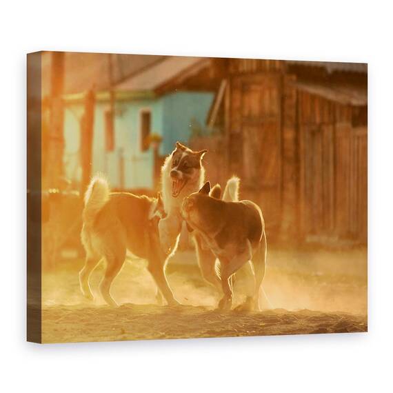 Tablou Canvas - Chemarea Salbaticiei, Marime: 50 x 70 cm - - Roveli