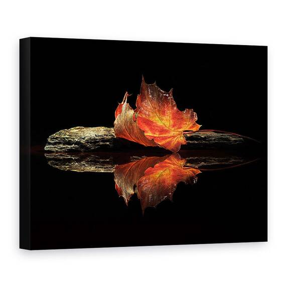 Tablou Canvas - Culori De Toamna, Marime: 50 x 70 cm - - Roveli
