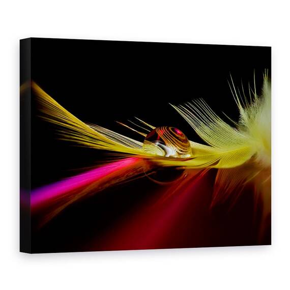 Tablou Canvas - Culori In Picatura, Marime: 50 x 70 cm - - Roveli
