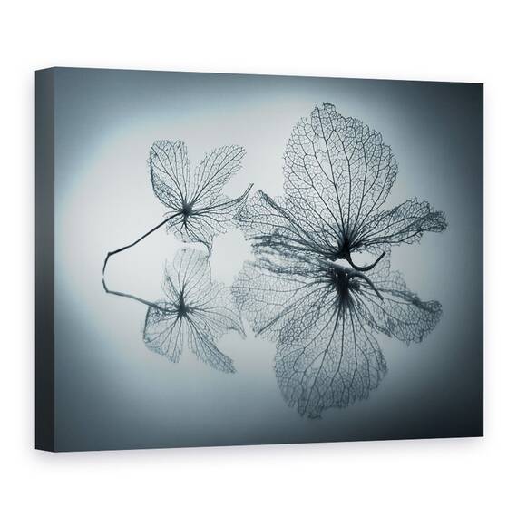 Tablou Canvas - Frumusete Efemera, Marime: 50 x 70 cm - - Roveli