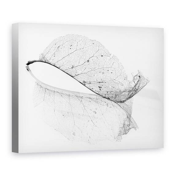 Tablou Canvas - Frunza Veche, Marime: 50 x 70 cm - - Roveli