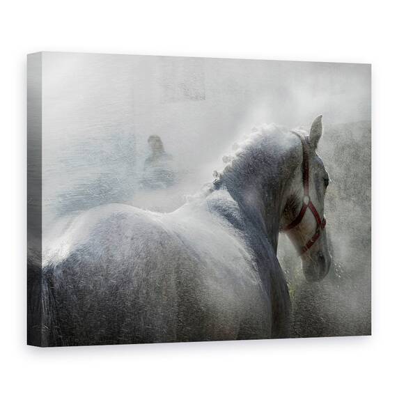 Tablou Canvas - Gramy, Marime: 50 x 70 cm - - Roveli