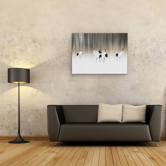 Tablou Canvas - Macarale Albe Cu Creasta Rosie, Marime: 50 x 70 cm - 4- Roveli