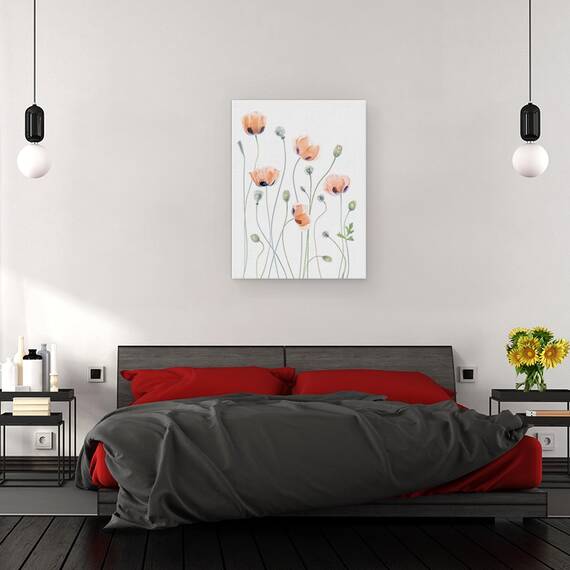 Tablou Canvas - Maci, Marime: 50 x 70 cm - 3- Roveli