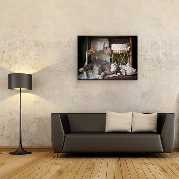 Tablou Canvas - Nu Trezi O Pisica Adormita, Marime: 50 x 70 cm - 2- Roveli