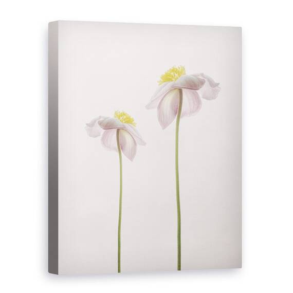 Tablou Canvas - O Amintire De Vara, Marime: 50 x 70 cm - - Roveli