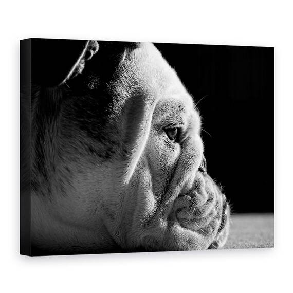 Tablou Canvas - Printre Riduri, Marime: 50 x 70 cm - - Roveli