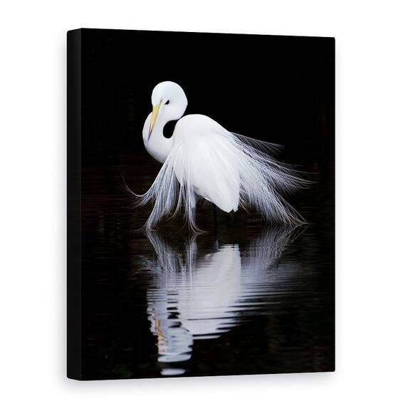 Tablou Canvas - Privind, Marime: 50 x 70 cm - - Roveli