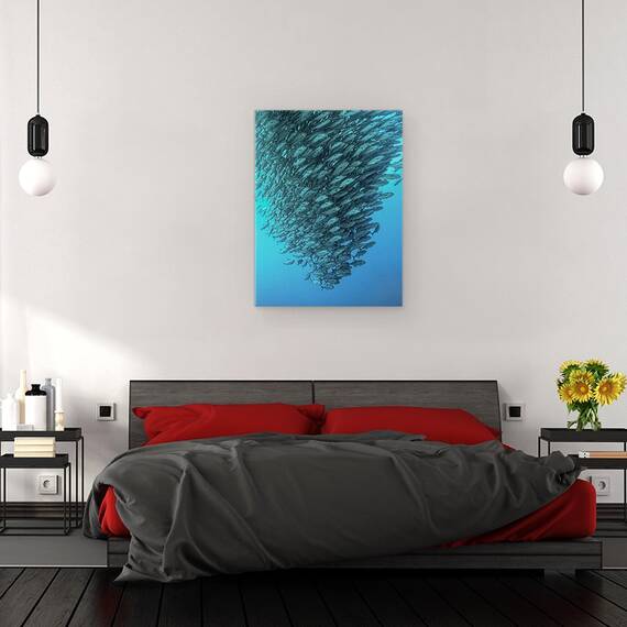 Tablou Canvas - Scolind Pestii, Marime: 50 x 70 cm - 3- Roveli