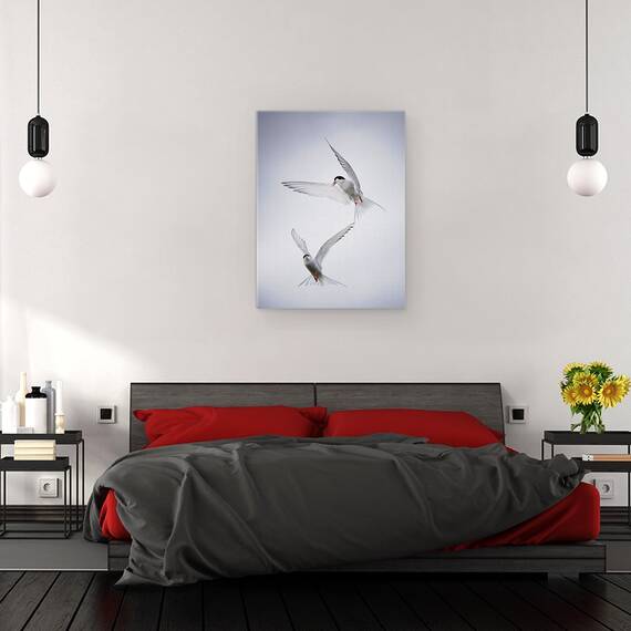 Tablou Canvas - Tango Arctic, Marime: 50 x 70 cm - 3- Roveli