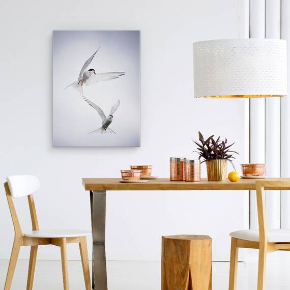 Tablou Canvas - Tango Arctic, Marime: 50 x 70 cm - 4- Roveli