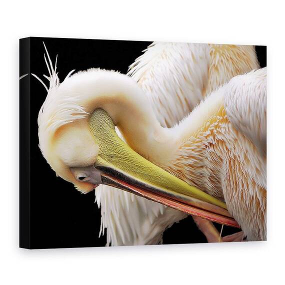Tablou Canvas - Toaleta, Marime: 50 x 70 cm - - Roveli