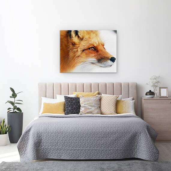 Tablou Canvas - Vulpe Rosie, Marime: 50 x 70 cm - 3- Roveli