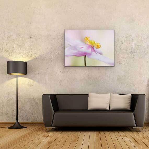 Tablou Canvas - Anemona Japoneza, Marime: 50 x 70 cm - 2- Roveli