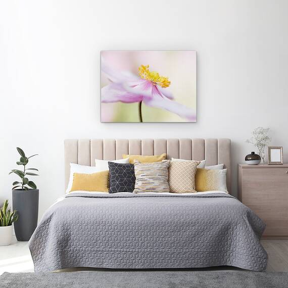 Tablou Canvas - Anemona Japoneza, Marime: 50 x 70 cm - 3- Roveli