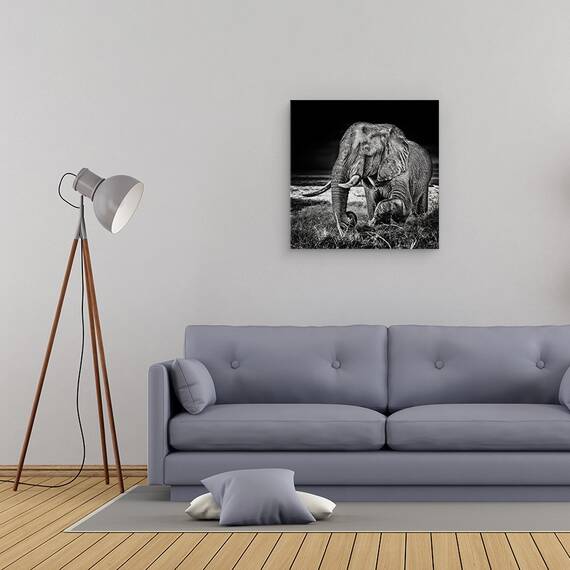 Tablou Canvas - Apus La Waterhole, Marime: 60 x 60 cm - 2- Roveli
