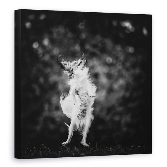 Tablou Canvas - Bucurie, Marime: 60 x 60 cm - - Roveli