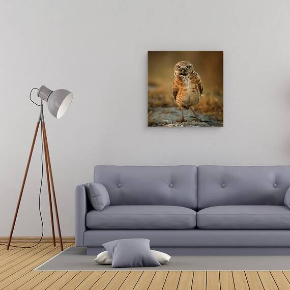 Tablou Canvas - Ce Mai Faci?, Marime: 60 x 60 cm - 2- Roveli