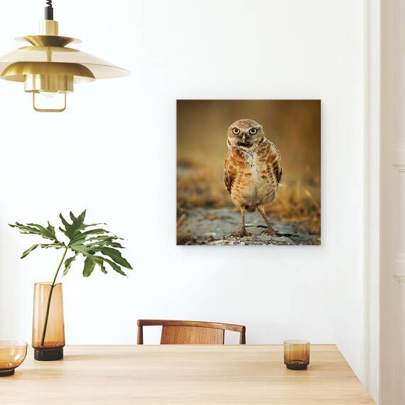Tablou Canvas - Ce Mai Faci?, Marime: 60 x 60 cm - 4- Roveli