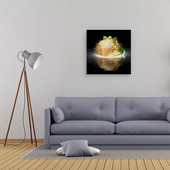 Tablou Canvas - Conopida, Marime: 60 x 60 cm - 2- Roveli