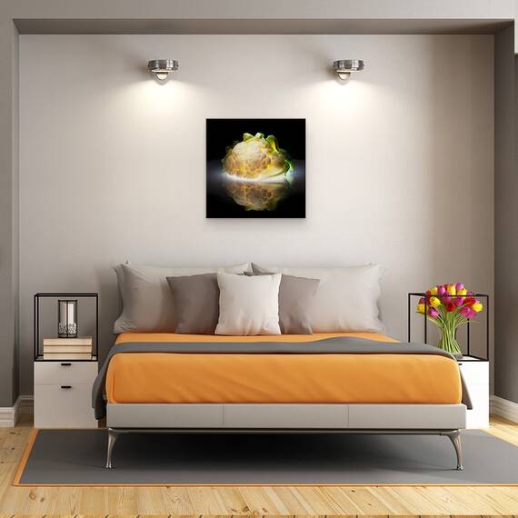 Tablou Canvas - Conopida, Marime: 60 x 60 cm - 3- Roveli