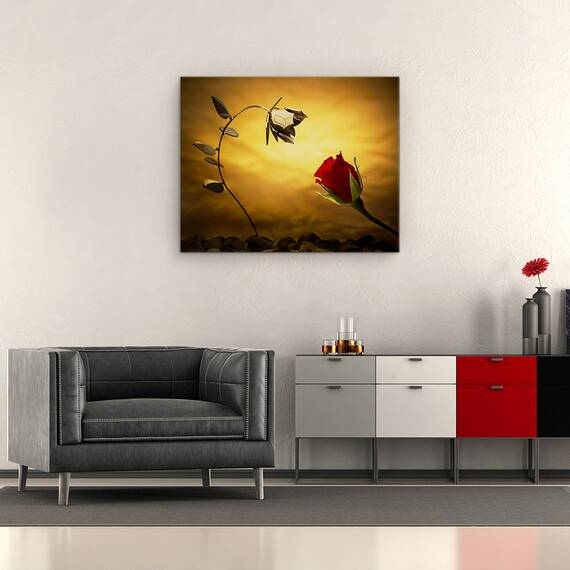 Tablou Canvas - Contrariile Se Atrag, Marime: 40 x 50 cm - 2- Roveli