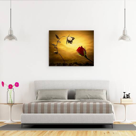 Tablou Canvas - Contrariile Se Atrag, Marime: 40 x 50 cm - 3- Roveli