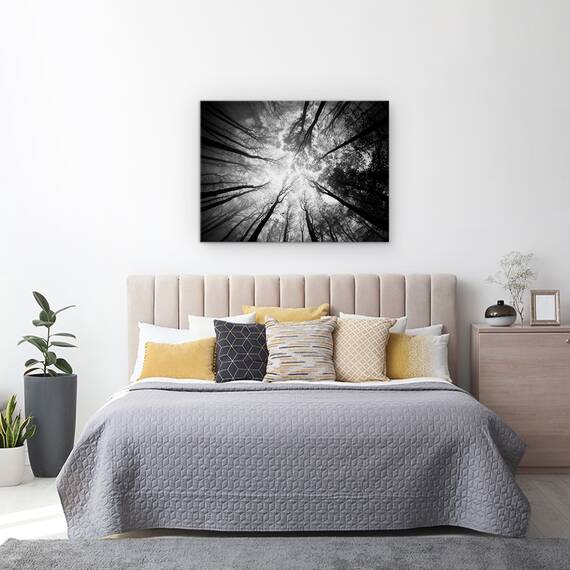 Tablou Canvas - Copaci, Marime: 50 x 70 cm - 3- Roveli