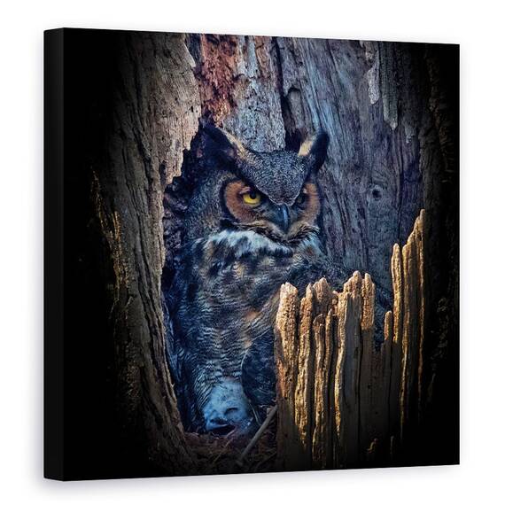 Tablou Canvas - De A V-Ati Ascunselea, Marime: 60 x 60 cm - - Roveli
