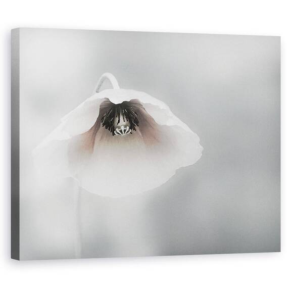 Tablou Canvas - Frumusete Efemera, Marime: 40 x 50 cm - - Roveli