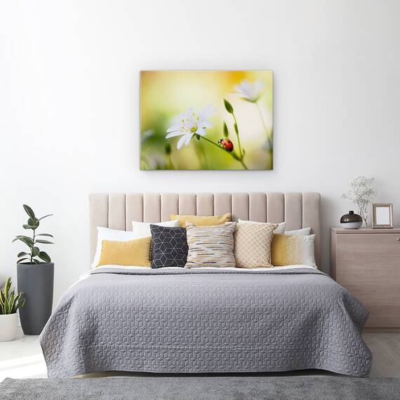 Tablou Canvas - Frumuseti De Vara, Marime: 50 x 70 cm - 3- Roveli