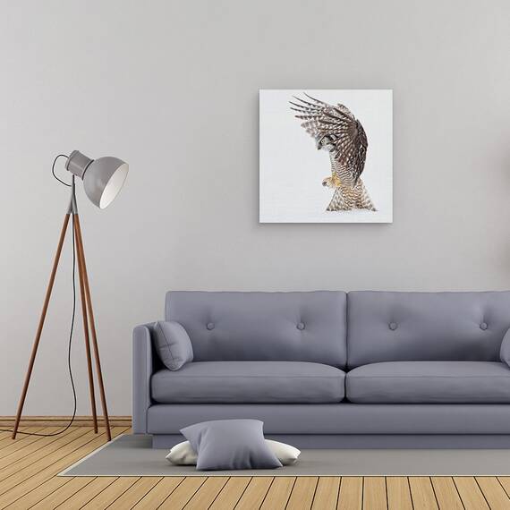 Tablou Canvas - Gaurire, Marime: 60 x 60 cm - 2- Roveli
