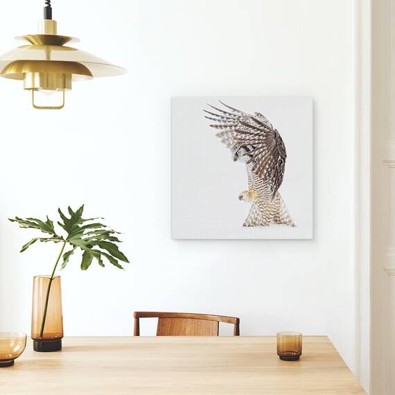 Tablou Canvas - Gaurire, Marime: 60 x 60 cm - 4- Roveli