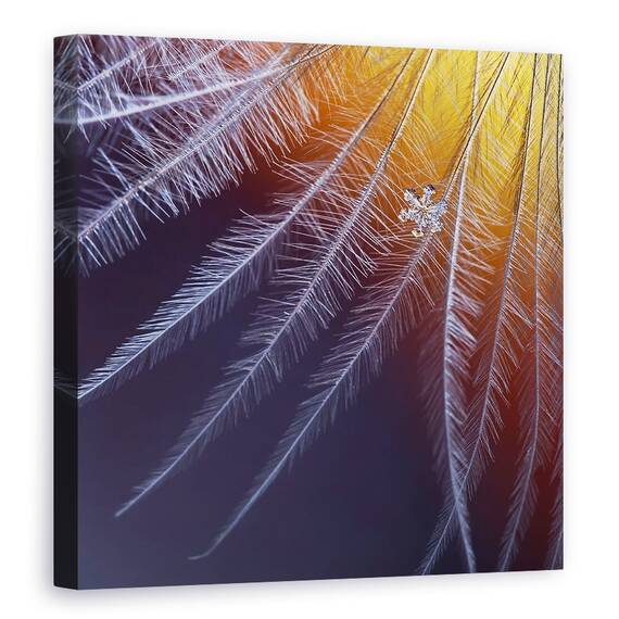 Tablou Canvas - Gheata Si Flacara, Marime: 60 x 60 cm - - Roveli